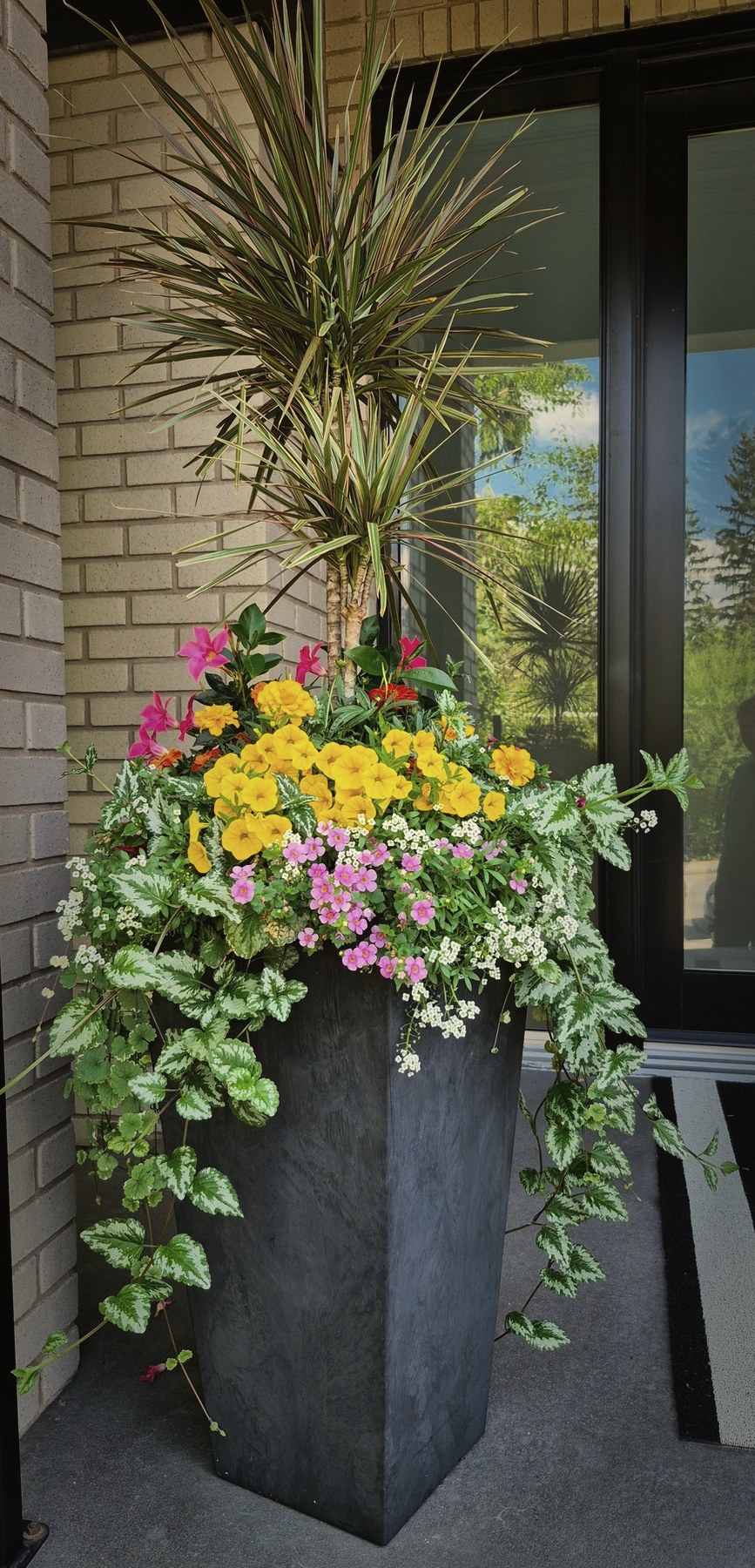 Spring planters, no. 4