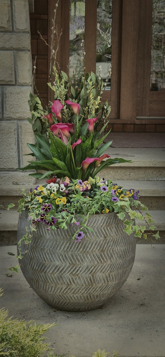 Spring planters, no. 3