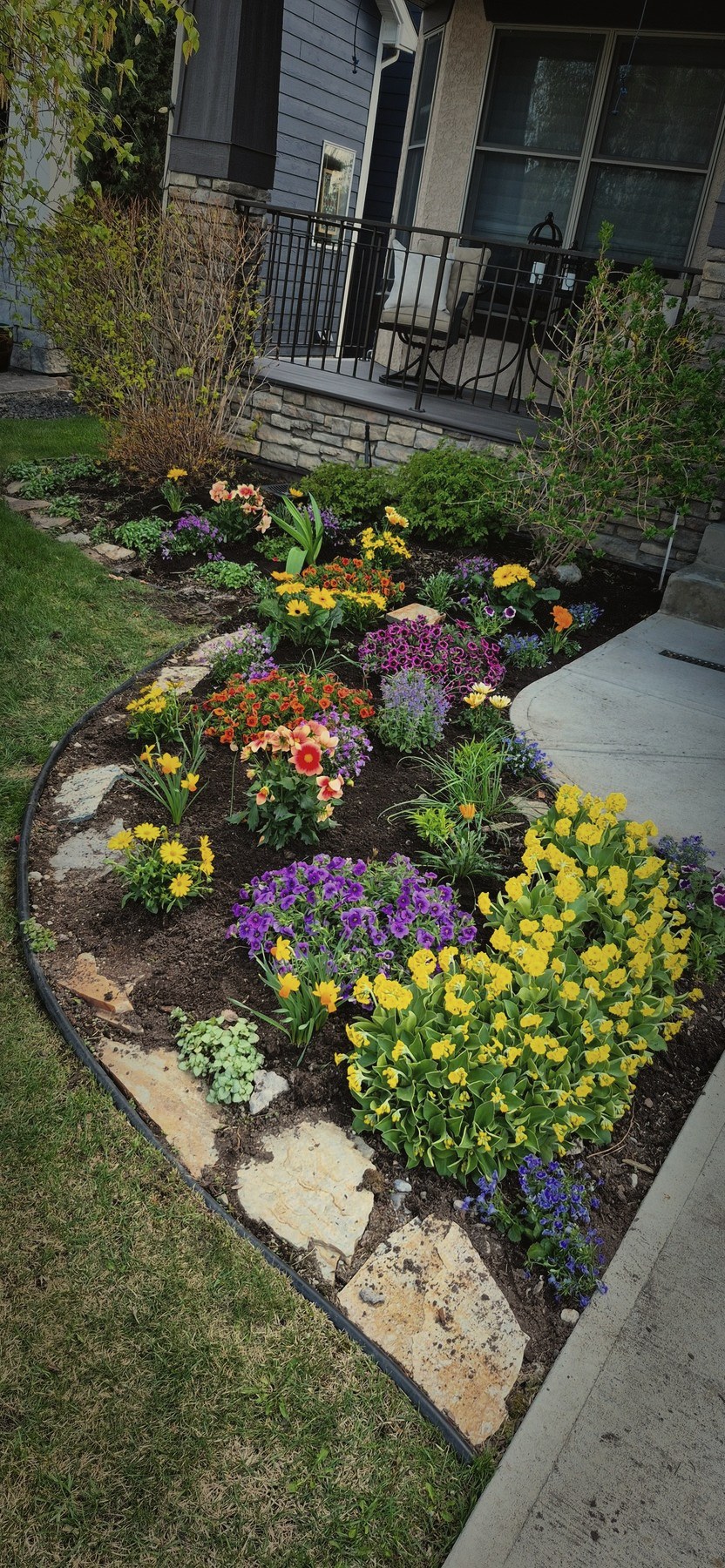 A front garden bed in bloom