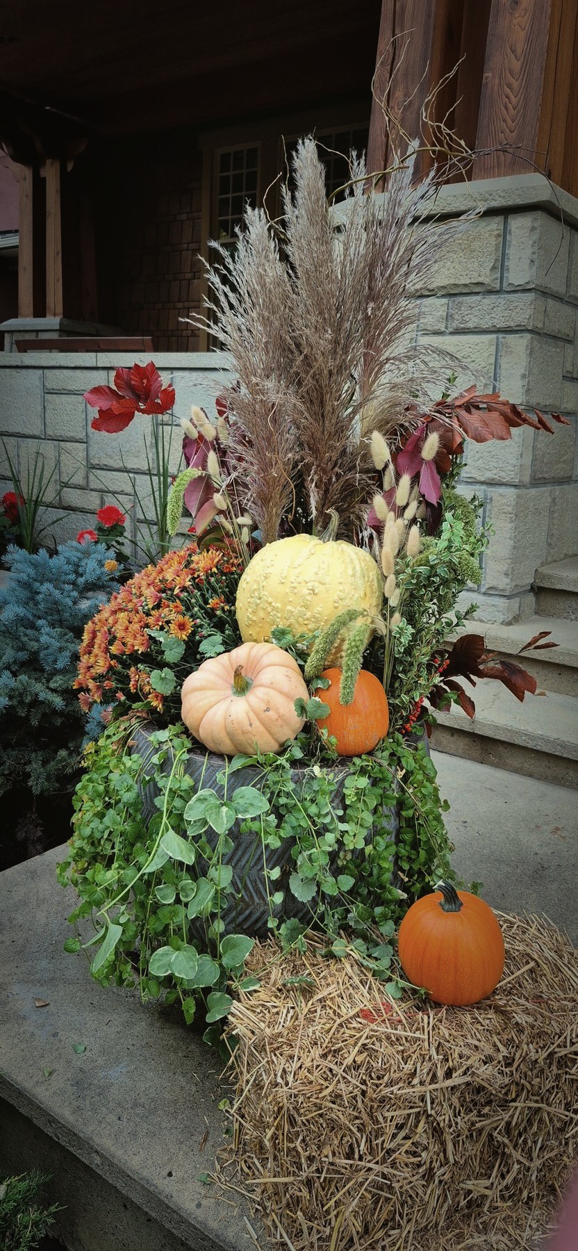 Autumn planters, no. 8