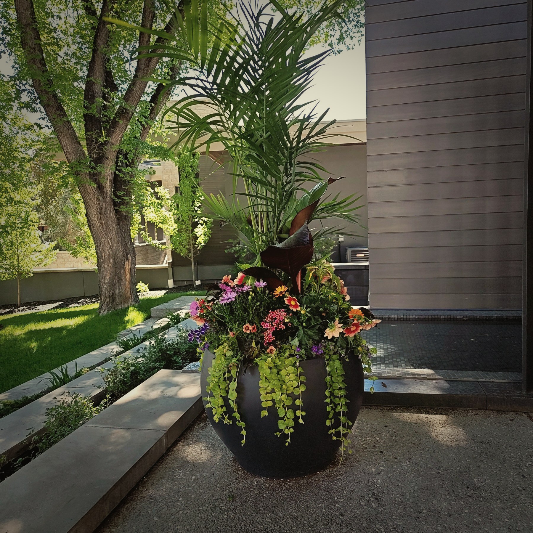 Summer planters, no. 2