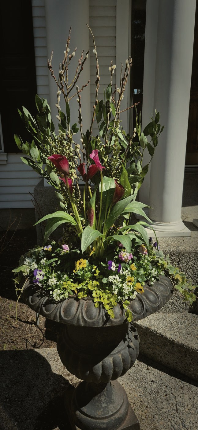 Spring planters, no. 1