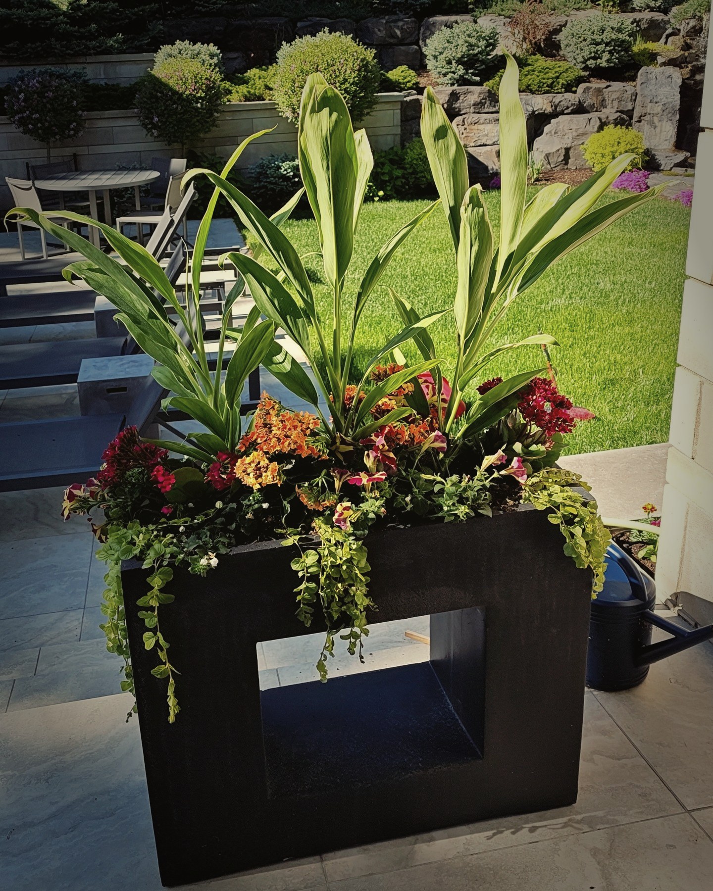 Summer planters, no. 1