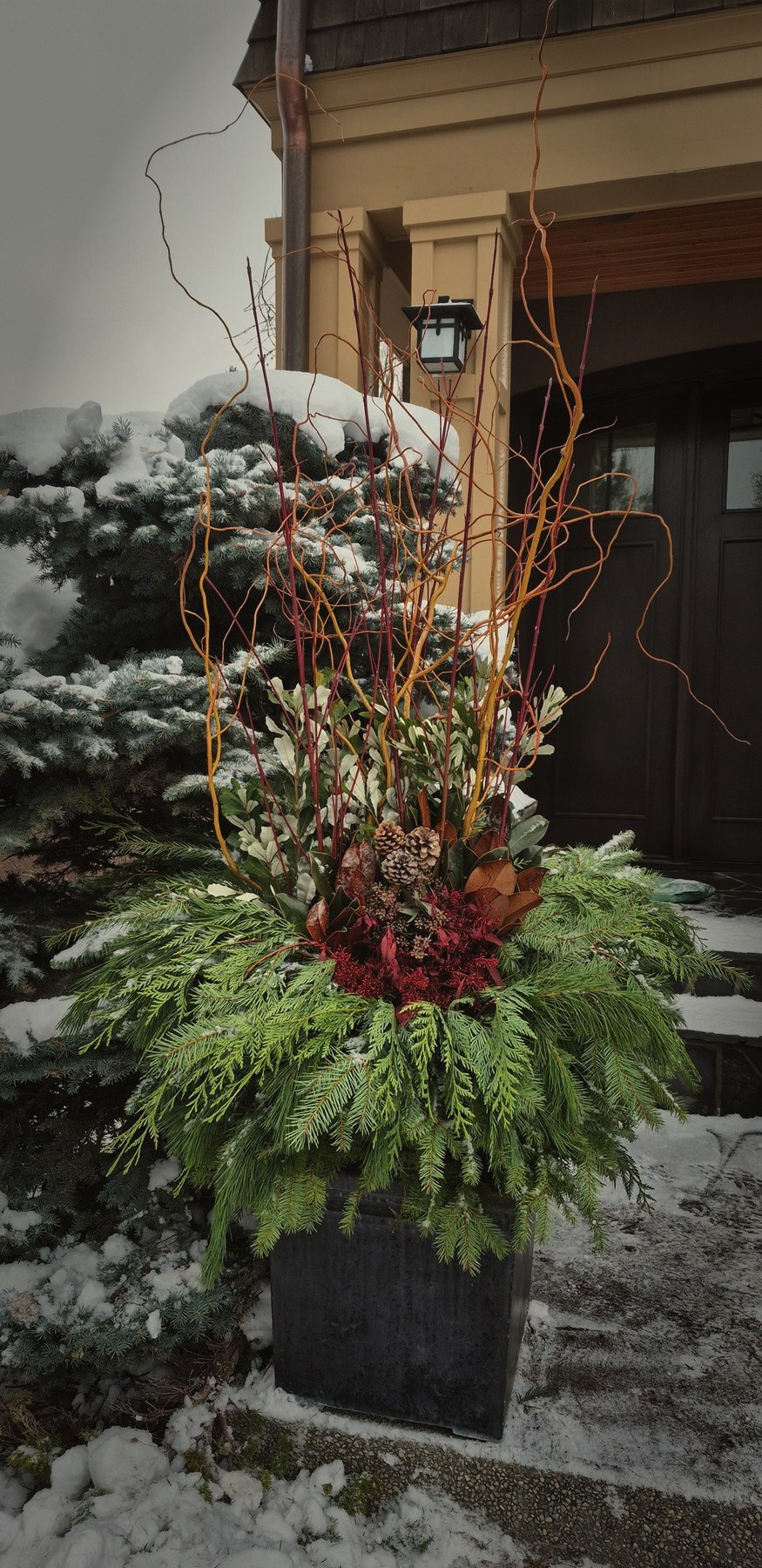 Winter planters, no. 5